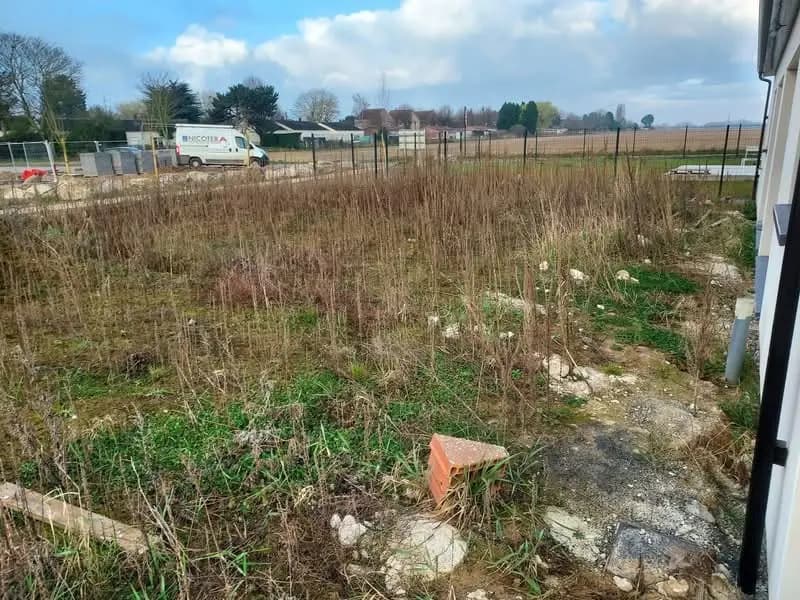 Photo de départ du jardin